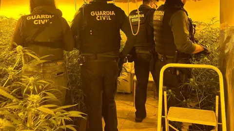 La Guardia Civil desmantela una plantación “Indoor” de marihuana en Peñíscola La Guardia Civil desmantela una plantación “Indoor” de marihuana en Peñíscola