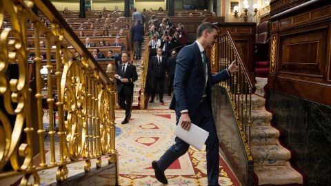 Pedro S&aacute;nchez en el Congreso de los Diputados
