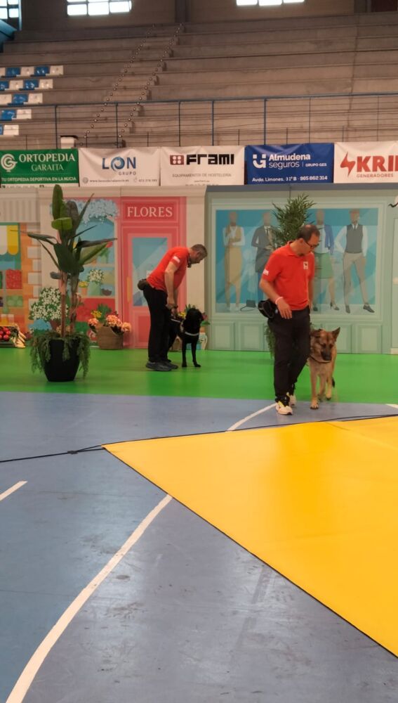 Perros Guía formación 