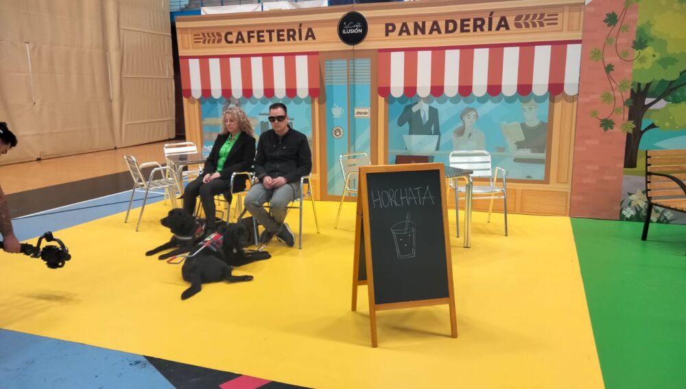 Perros Guía exhibición Once