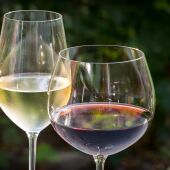 Vino