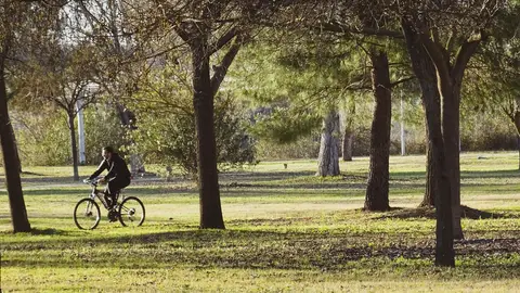 El Ayuntamiento de Mérida inicia una campaña de desbroces progresiva en las barriadas El Ayuntamiento de Mérida inicia una campaña de desbroces progresiva en las barriadas