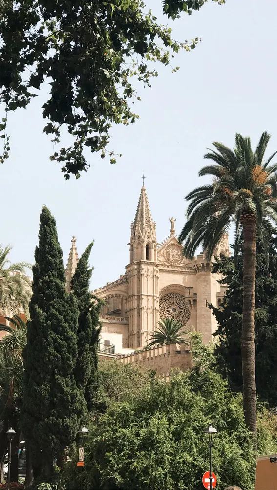 Palma Palma
