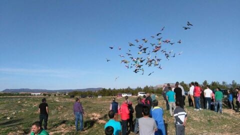 Dolores acoge este mes el Campeonato de Palomos Deportivos m&aacute;s importante de Espa&ntilde;a