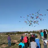 Dolores acoge este mes el Campeonato de Palomos Deportivos más importante de España Dolores acoge este mes el Campeonato de Palomos Deportivos más importante de España