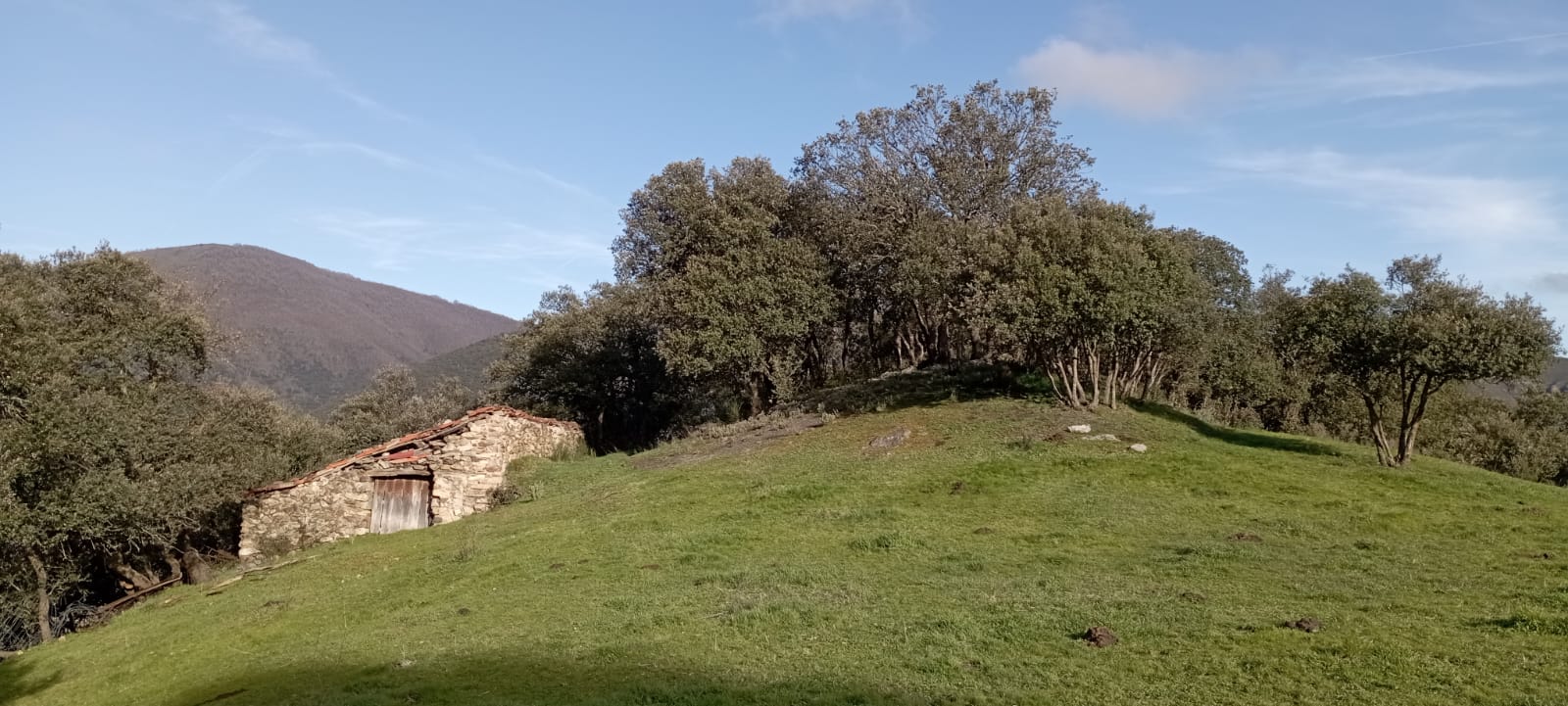 La XXIV Marcha por los Montes de Anguiano recorrerá 24 km el 31 de mayo La XXIV Marcha por los Montes de Anguiano recorrerá 24 km el 31 de mayo