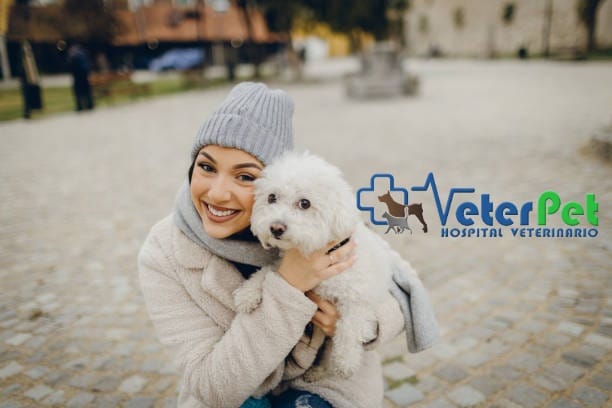 Regalar una mascota no debe ser una decisión impulsiva. Escucha las recomendaciones del adiestrador canino Ángel Osuna Regalar una mascota no debe ser una decisión impulsiva. Escucha las recomendaciones del adiestrador canino Ángel Osuna