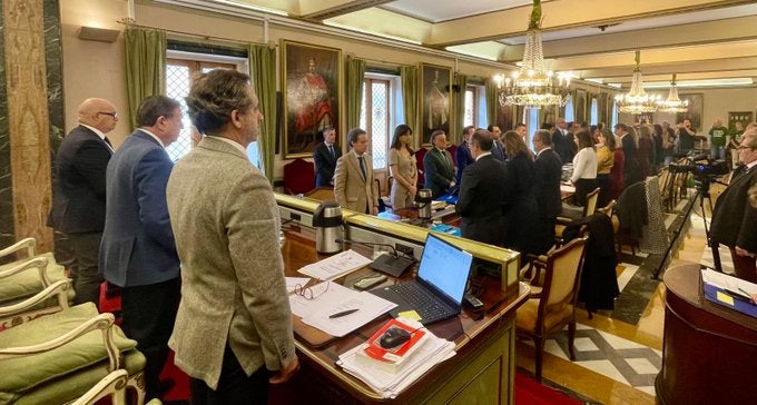 La ciudad deportiva llega al pleno del ayuntamiento La ciudad deportiva llega al pleno del ayuntamiento