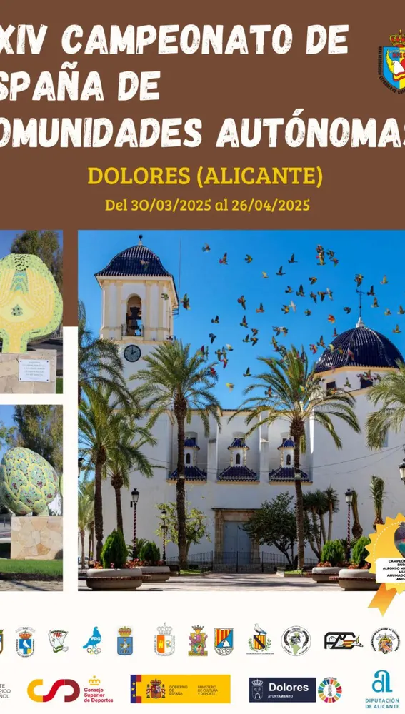 Dolores acoge este mes el Campeonato de Palomos Deportivos más importante de España Dolores acoge este mes el Campeonato de Palomos Deportivos más importante de España