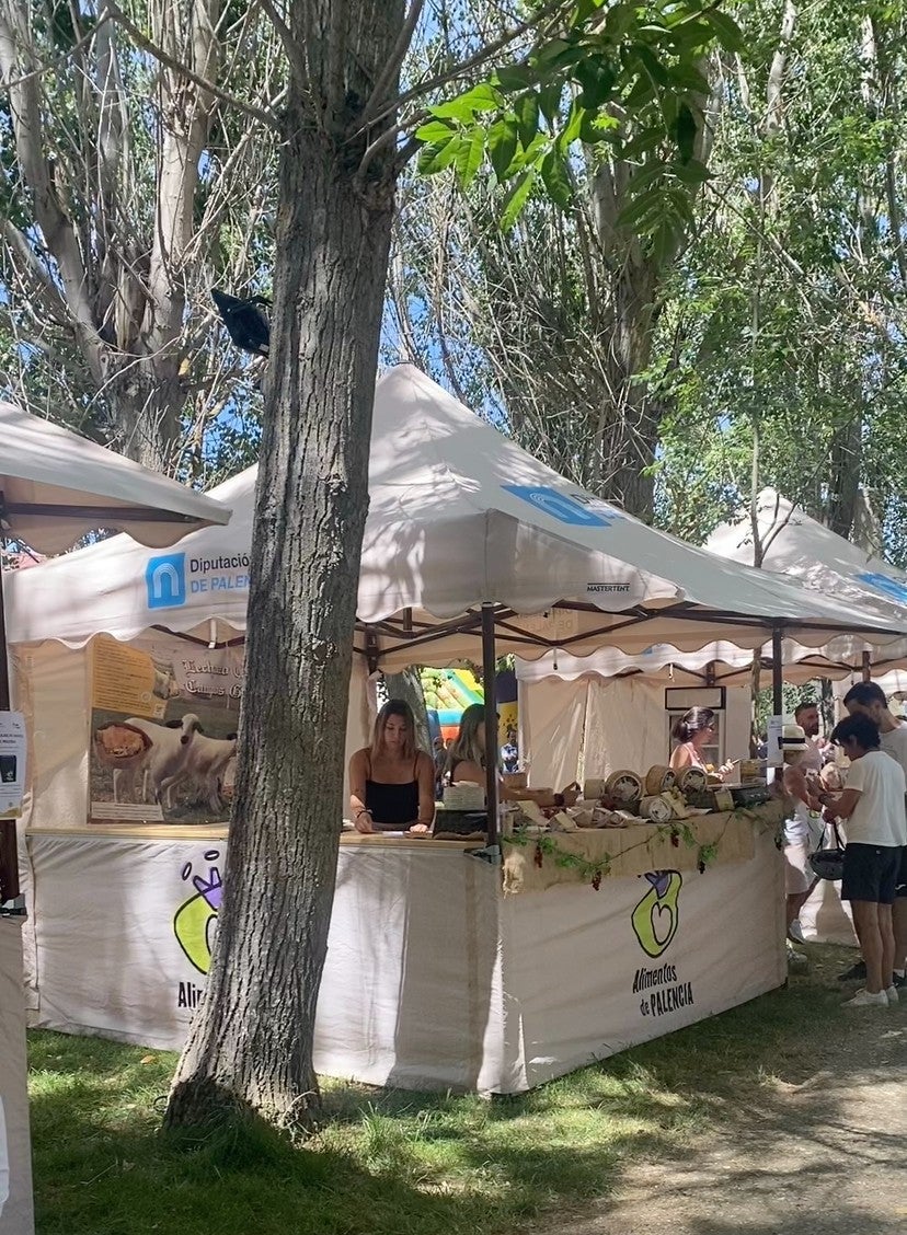 La Diputación de Palencia destina 82.500 euros para apoyar sus ferias locales y eventos gastronómicos La Diputación de Palencia destina 82.500 euros para apoyar sus ferias locales y eventos gastronómicos