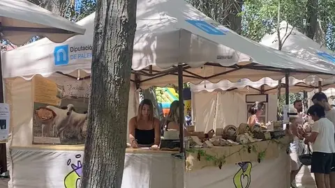 La Diputación de Palencia destina 82.500 euros para apoyar sus ferias locales y eventos gastronómicos .