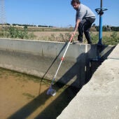 Treballador de la CHJ cogiendo muestras de la acequi oro para evaluar los contaminantes del agua después del paso de la DANA