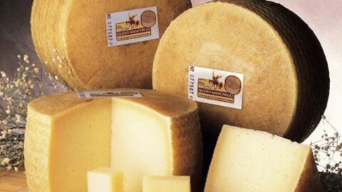 Queso manchego Queso manchego