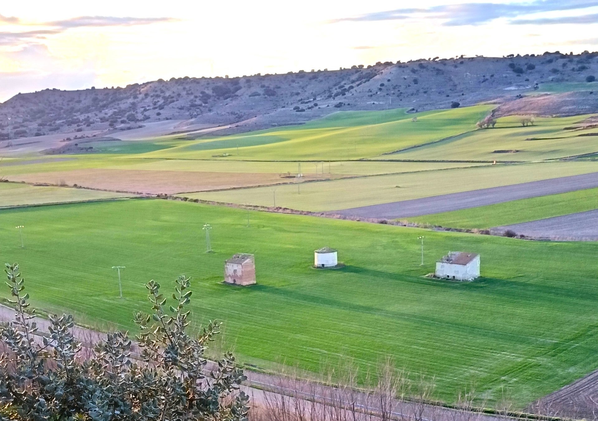 Abierto el plazo para solicitar las ayudas de la Diputación destinadas a la conservación, rehabilitación y restauración de palomares y otras construcciones de la arquitectura tradicional Abierto el plazo para solicitar las ayudas de la Diputación destinadas a la conservación, rehabilitación y restauración de palomares y otras construcciones de la arquitectura tradicional
