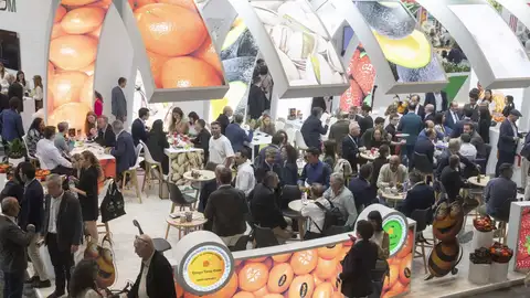 Abierta la convocatoria para que las empresas extremeñas participen en la Feria Internacional Fruit Attraction 2025 Abierta la convocatoria para que las empresas extremeñas participen en la Feria Internacional Fruit Attraction 2025