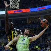 Euroliga
