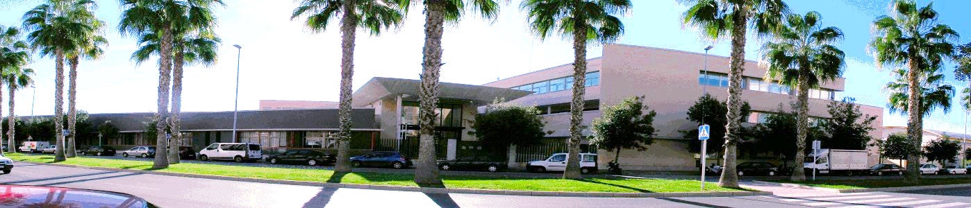 El IES Llombai de Burriana abre miradas a los jóvenes a Europa El IES Llombai de Burriana abre miradas a los jóvenes a Europa