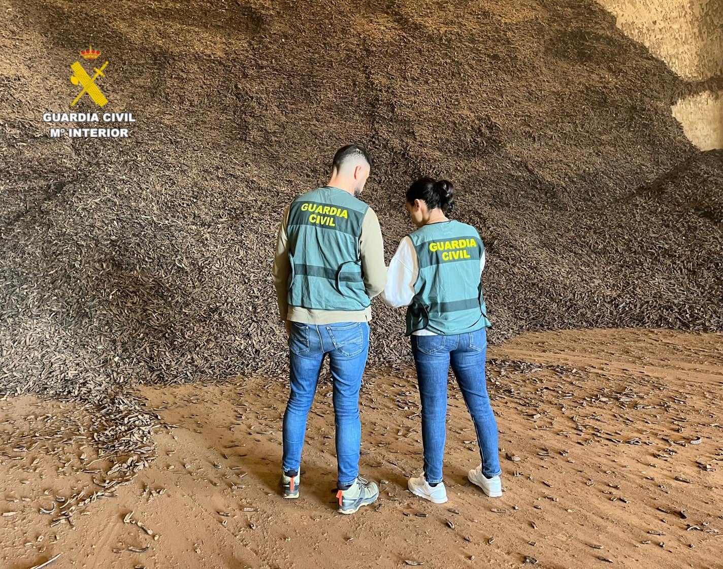 La Guardia Civil desarticula un grupo que vendió 74 toneladas de algarrobas robados en terrenos agrícolas de Castellón La Guardia Civil desarticula un grupo que vendió 74 toneladas de algarrobas robados en terrenos agrícolas de Castellón