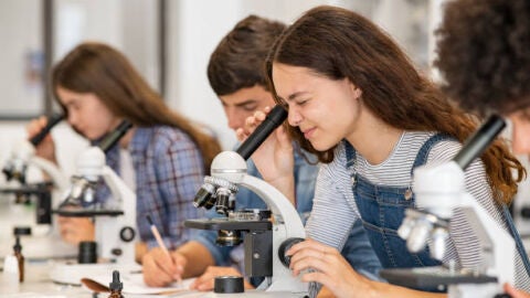 M&aacute;s de 50 experiencias cient&iacute;ficas ser&aacute;n presentadas en el X Certamen de Ciencias de la Vega Baja organizado por el MUDIC