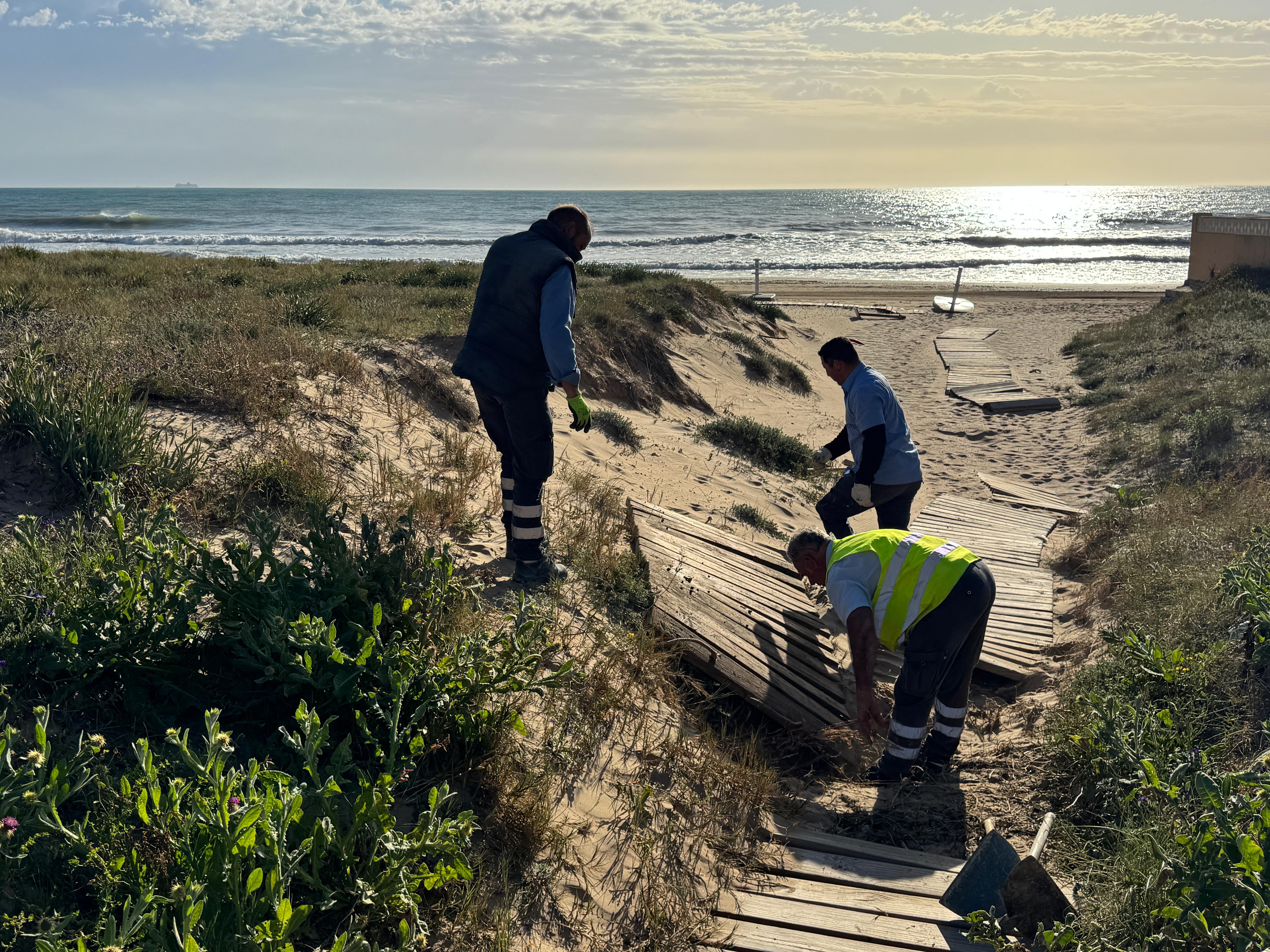 Elche comienza a adecuar sus playas de cara a la llegada de la temporada de Semana Santa Elche comienza a adecuar sus playas de cara a la llegada de la temporada de Semana Santa
