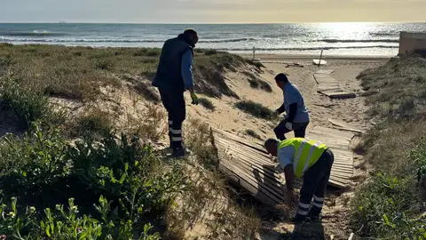 Trabajos de adecuación de la pasarela de acceso a una playa de Elche. Trabajos de adecuación de la pasarela de acceso a una playa de Elche.