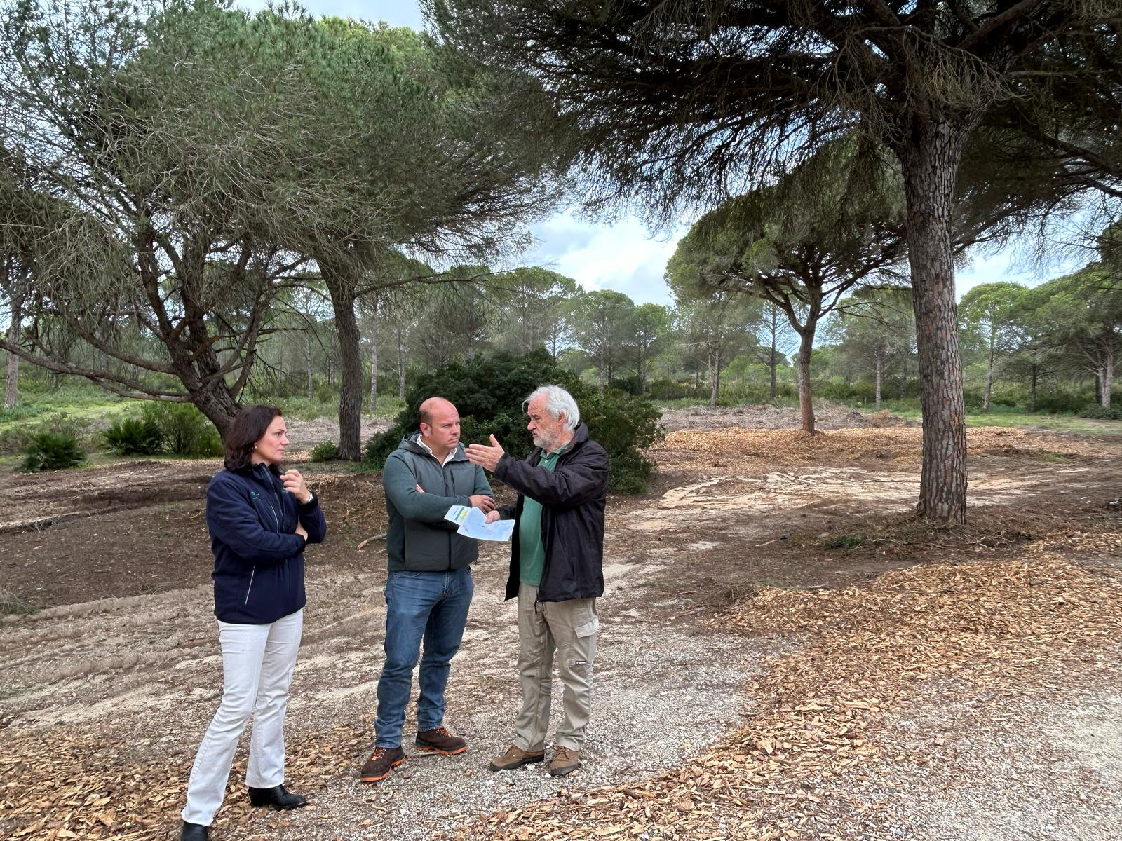 La Junta de Andalucía actúa en los montes públicos de Puerto Real La Junta de Andalucía actúa en los montes públicos de Puerto Real