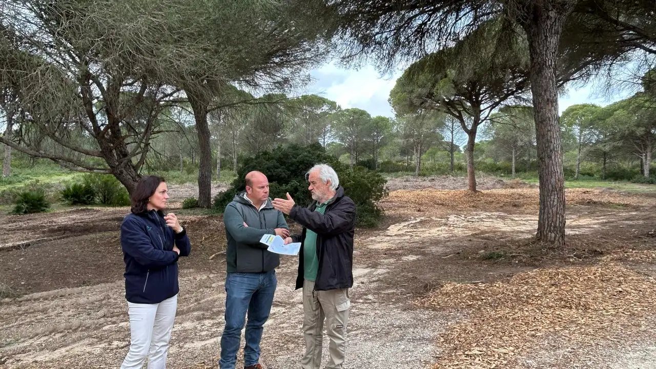 Visita a los pinares de Puerto Real Visita a los pinares de Puerto Real