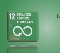 Reflexionado sobre el modelo de consumo compulsivo