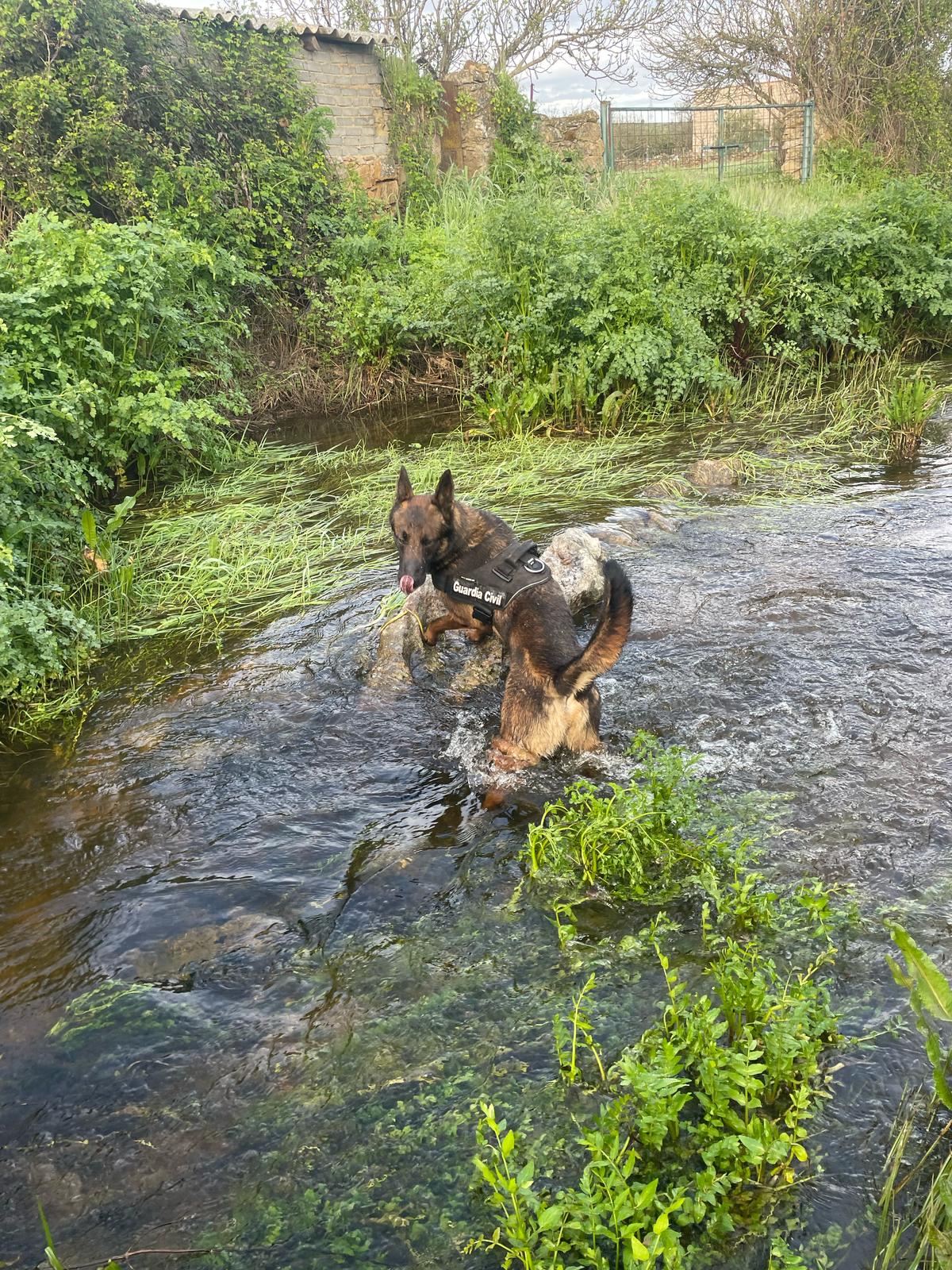 Este lunes se retomará el operativo de búsqueda del hombre de 65 años desaparecido desde el sábado en Zarza de Montánchez Este lunes se retomará el operativo de búsqueda del hombre de 65 años desaparecido desde el sábado en Zarza de Montánchez