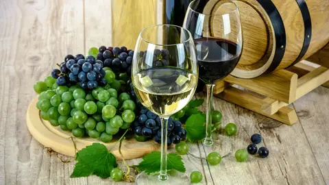Vino Vino