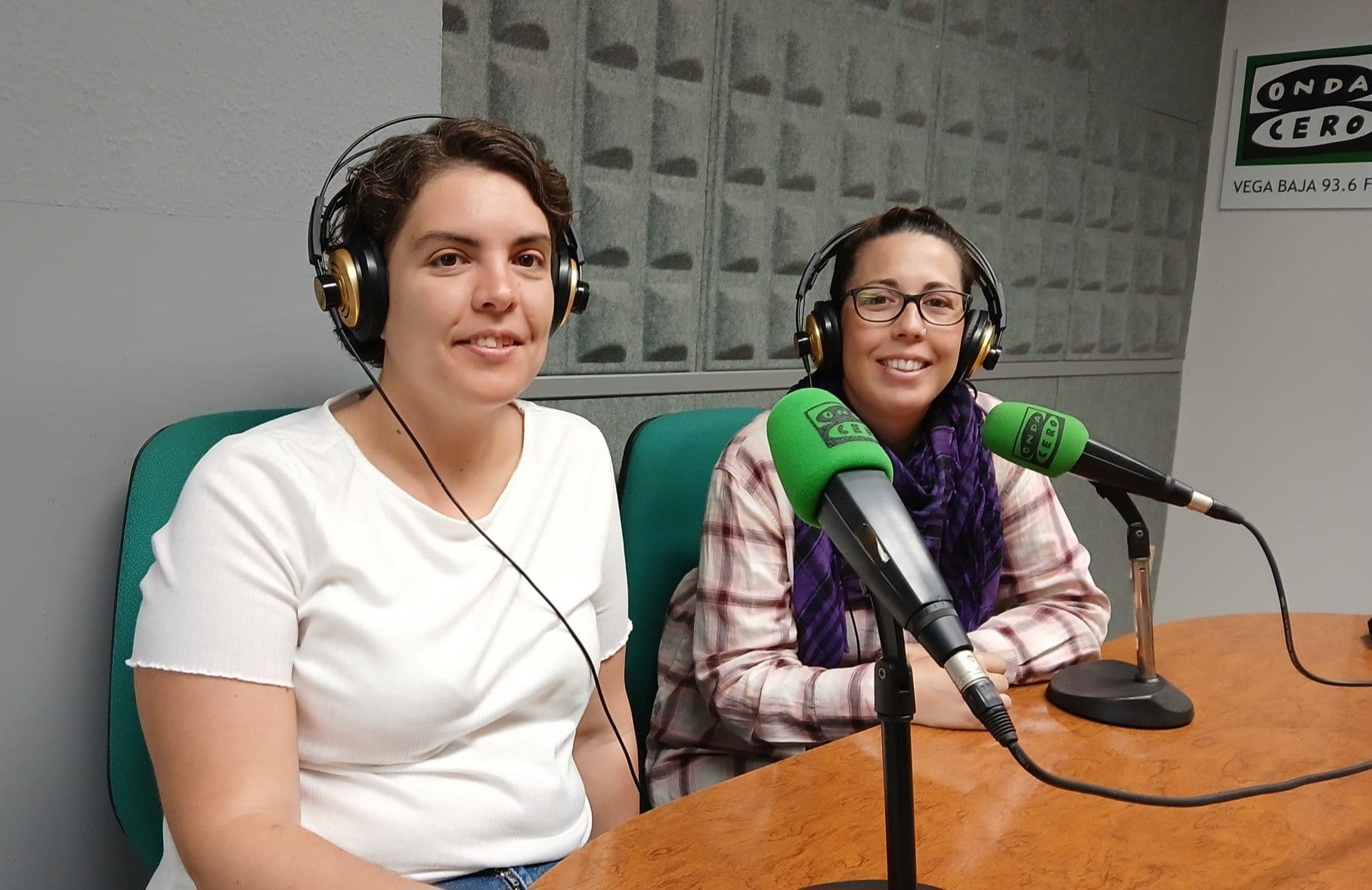 Familias de Torrevieja promueven la creación de una línea en valenciano en el colegio Acequión Familias de Torrevieja promueven la creación de una línea en valenciano en el colegio Acequión