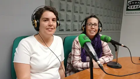 Familias de Torrevieja promueven la creación de una línea en valenciano en el colegio Acequión Familias de Torrevieja promueven la creación de una línea en valenciano en el colegio Acequión