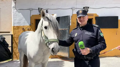 Escuadrón Caballería de la Policía Local Escuadrón Caballería de la Policía Local