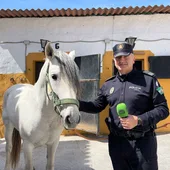 Escuadrón Caballería de la Policía Local Escuadrón Caballería de la Policía Local