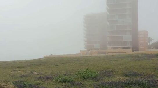 La niebla cubre Los Arenales del Sol de Elche 