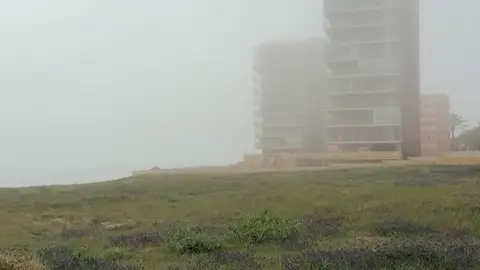La niebla cubre Los Arenales del Sol de Elche. La niebla cubre Los Arenales del Sol de Elche