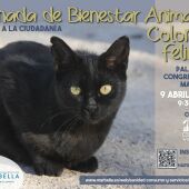 Jornada de Bienestar Animal y Colonias Felinas