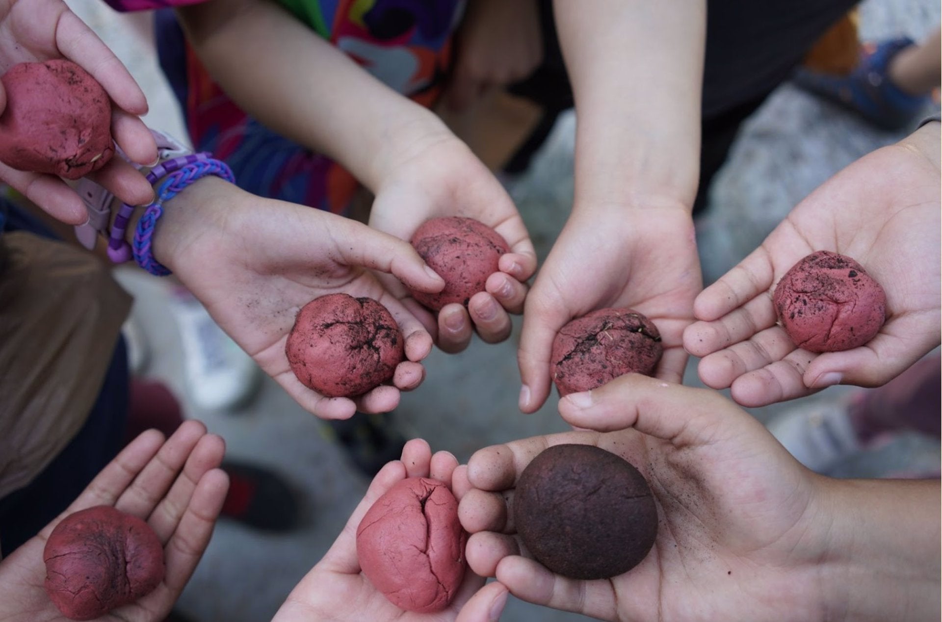 Escolares de Las Hurdes participan en Pinofranqueado en una jornada de educación ambiental Escolares de Las Hurdes participan en Pinofranqueado en una jornada de educación ambiental