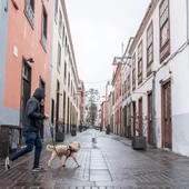 El Cabildo pide a la población precaución ante los episodios de lluvias fuertes que podría dejar 'Olivier' en Tenerife El Cabildo pide a la población precaución ante los episodios de lluvias fuertes que podría dejar 'Olivier' en Tenerife