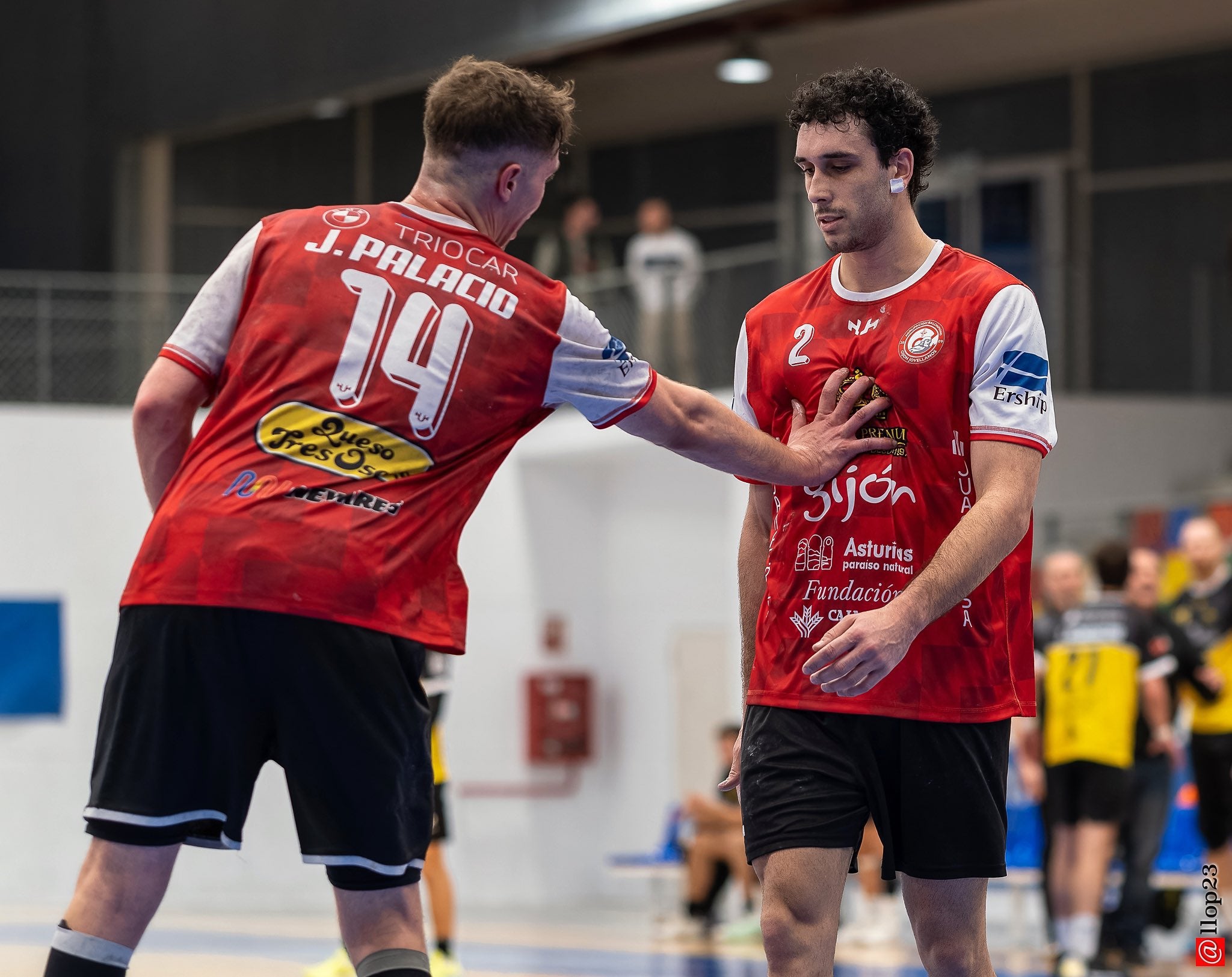 Royal Premium frena en seco al líder Royal Premium frena en seco al líder