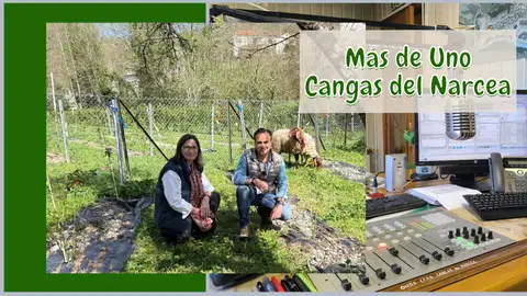 Carmen Mtnez. y José Luis Jiménez en la parcela Rosa Narcea de Carballo Carmen Mtnez. y José Luis Jiménez en la parcela Rosa Narcea de Carballo