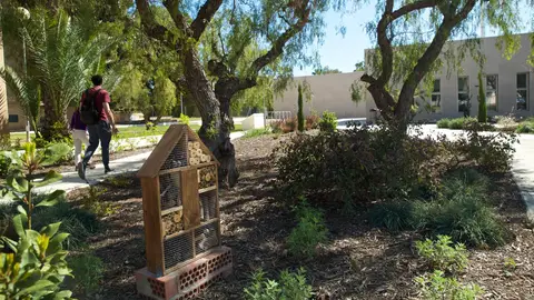 Uno de los refugios de insectos polinizadores en el campus de la UA Uno de los refugios de insectos polinizadores en el campus de la UA
