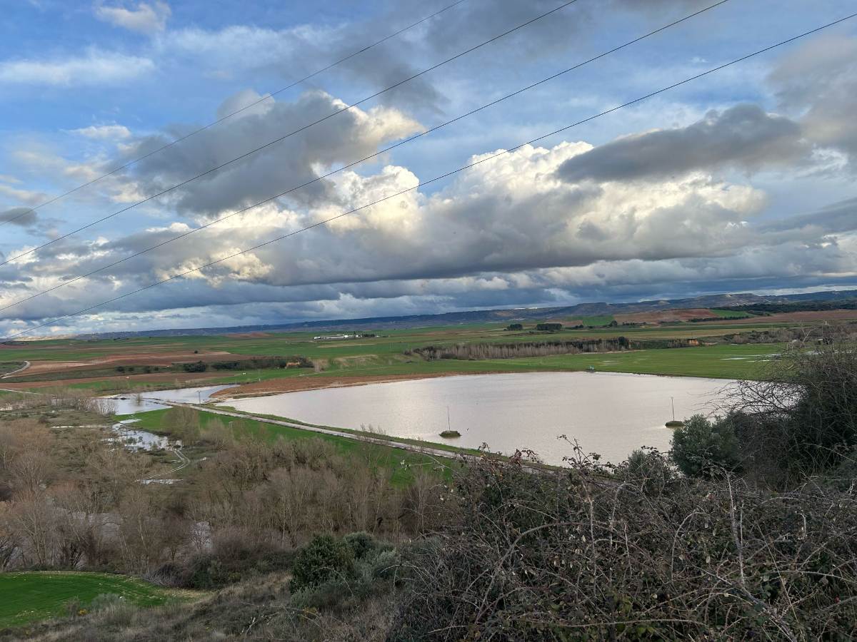 Los agricultores de Guadalajara hacen una reclamación patrimonial a la CHT por las inundaciones Los agricultores de Guadalajara hacen una reclamación patrimonial a la CHT por las inundaciones