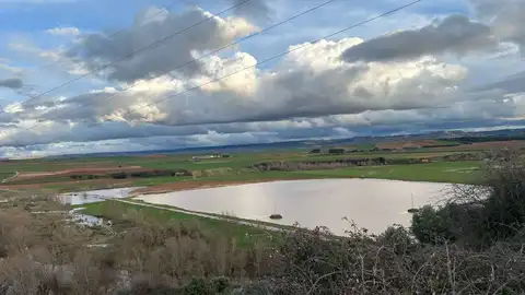 Los agricultores de Guadalajara hacen una reclamación patrimonial a la CHT Los agricultores de Guadalajara hacen una reclamación patrimonial a la CHT