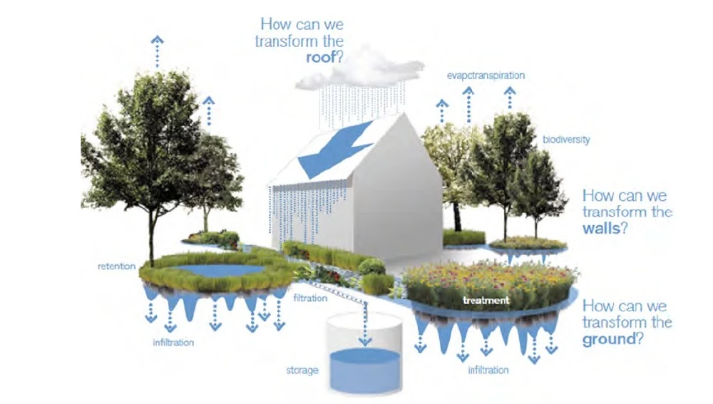 Sistema de drenaje previsto en el camping Sistema de drenaje previsto en el camping