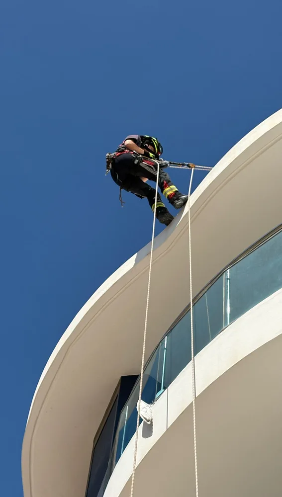 Los bomberos se tuvieron que emplear a fondo para rescatar una gaviota Los bomberos se tuvieron que emplear a fondo para rescatar una gaviota