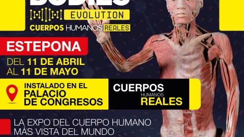 Bodies Evolution