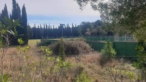 Imagen de las parcelas en La Coma Imagen de las parcelas en La Coma
