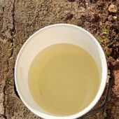 Agua de la pedanía de Mestanza