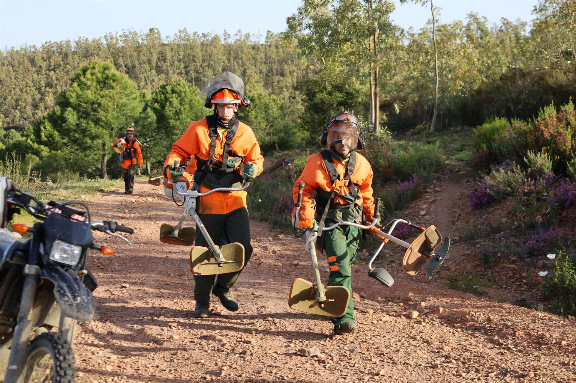 El Infoex desbroza unas 2.200 hectáreas cada año en labores de prevención de incendios forestales El Infoex desbroza unas 2.200 hectáreas cada año en labores de prevención de incendios forestales